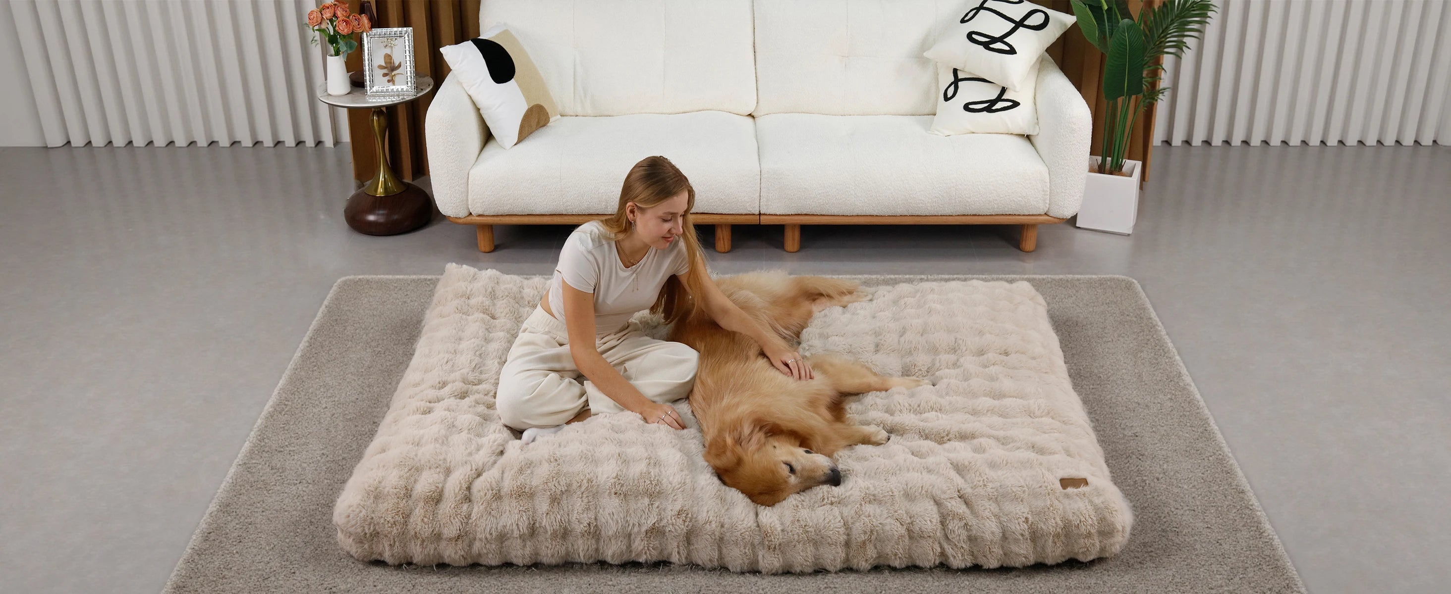 Cozy ultra plush dog bed in a modern living room with a woman and her golden retriever