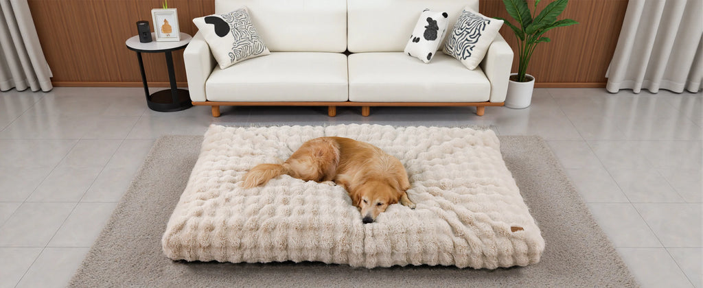 Golden retriever resting on an ultra plush dog bed in a cozy living room setting