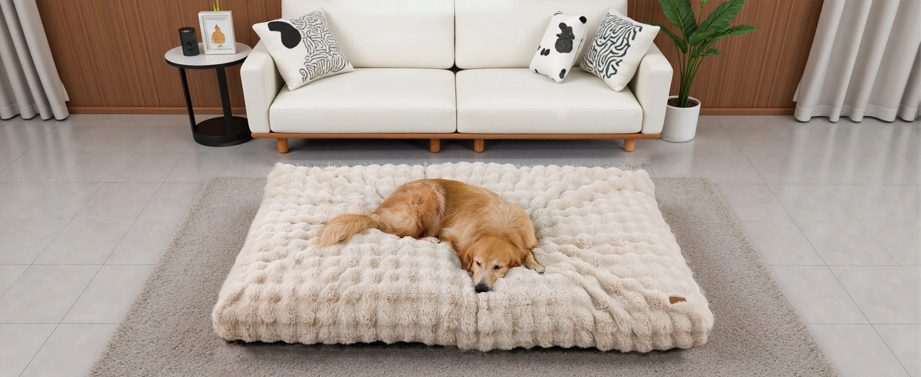 Golden retriever resting on an ultra plush dog bed in a cozy living room setting
