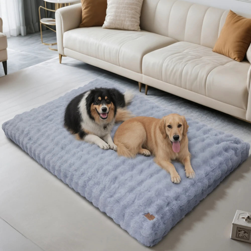 Two dogs relaxing on an ultra plush dog bed in a modern living room setting
