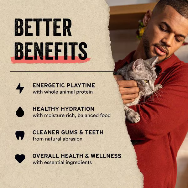 Man holding a gray tabby cat with benefits of Vital Essentials freeze dried minnows listed for energetic playtime and health