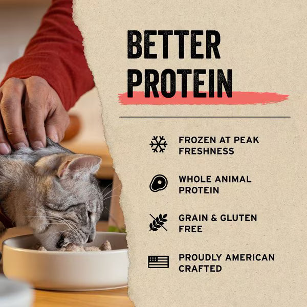 Cat eating from bowl promoted with Vital Essentials freeze dried minnows featuring frozen freshness and whole animal protein