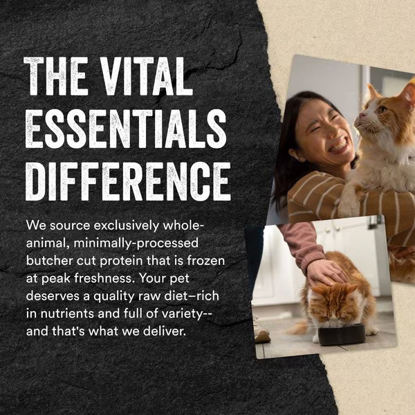 Happy woman cuddling orange and white cat with Vital Essentials freeze dried minnows for pet nutrition