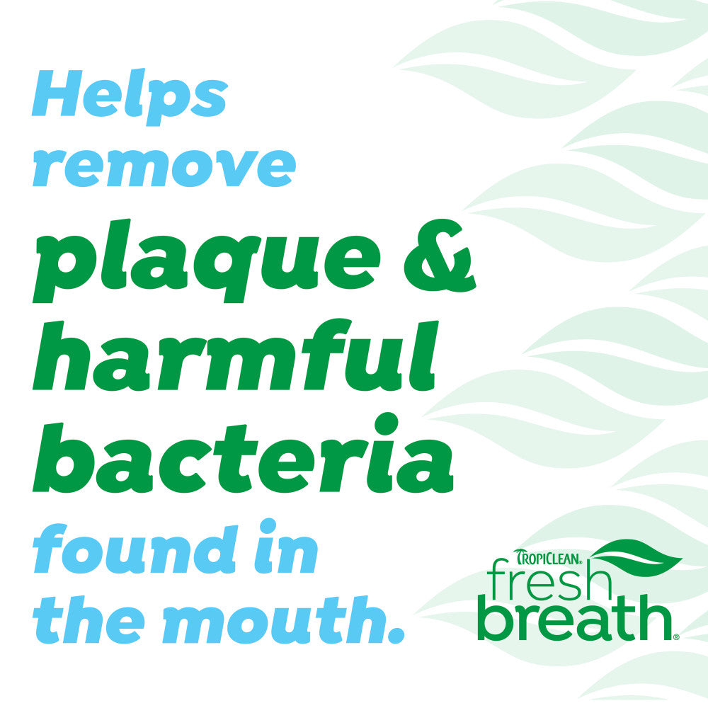 TropiClean Fresh Breath Toothbrush & Toothpaste Cat Dental Care Kit, 2.5-fl oz