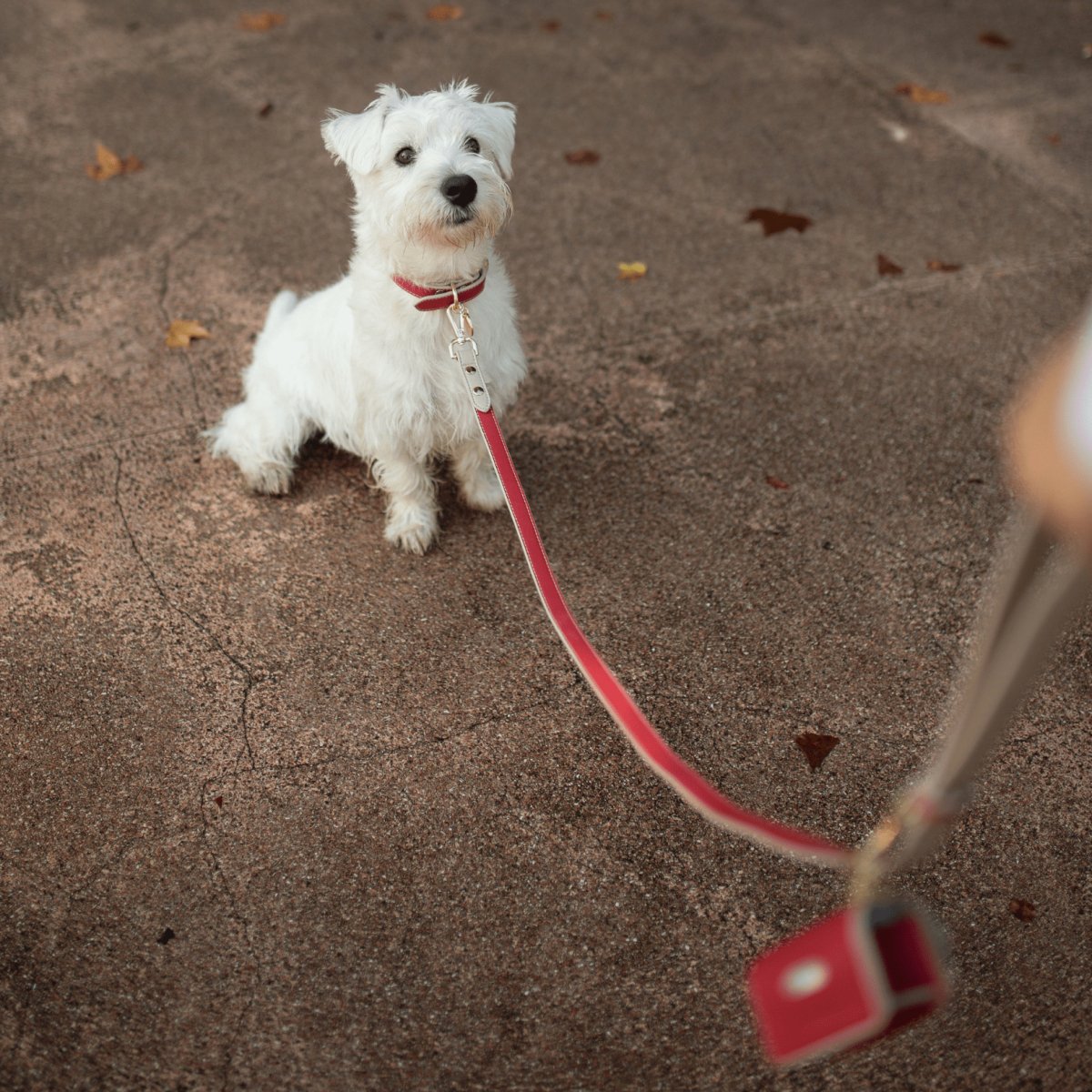 Waste Bag Holder - Vegan Leather - Bag Dispenser