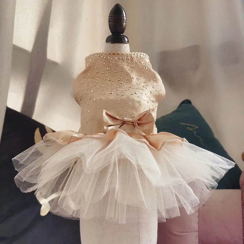 Yorkie summer princess dress in beige with pearls and tulle skirt for stylish small dogs