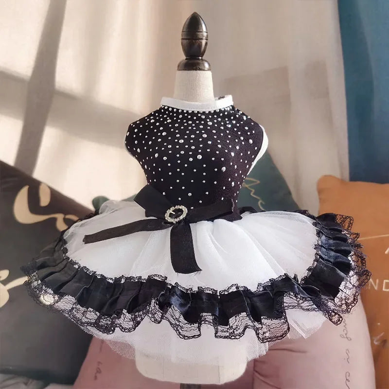 Yorkie summer princess dress in black and white with polka dots and lace trim for stylish pets