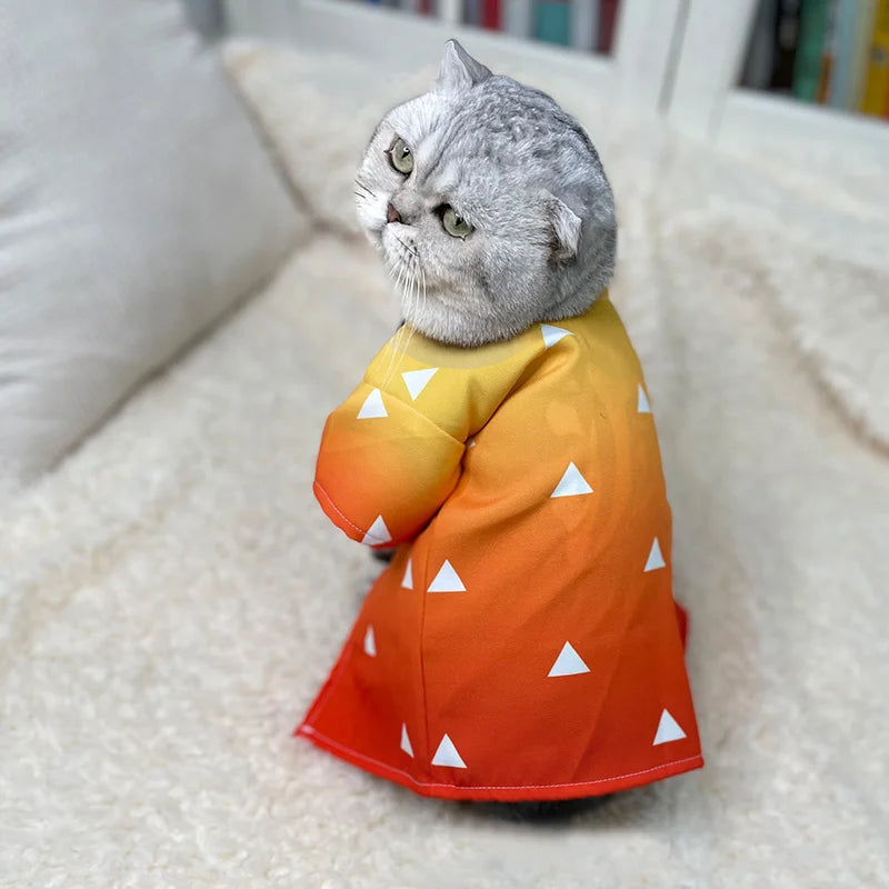 Cute cat wearing a Zenitsu pet cosplay costume with an orange and yellow gradient design