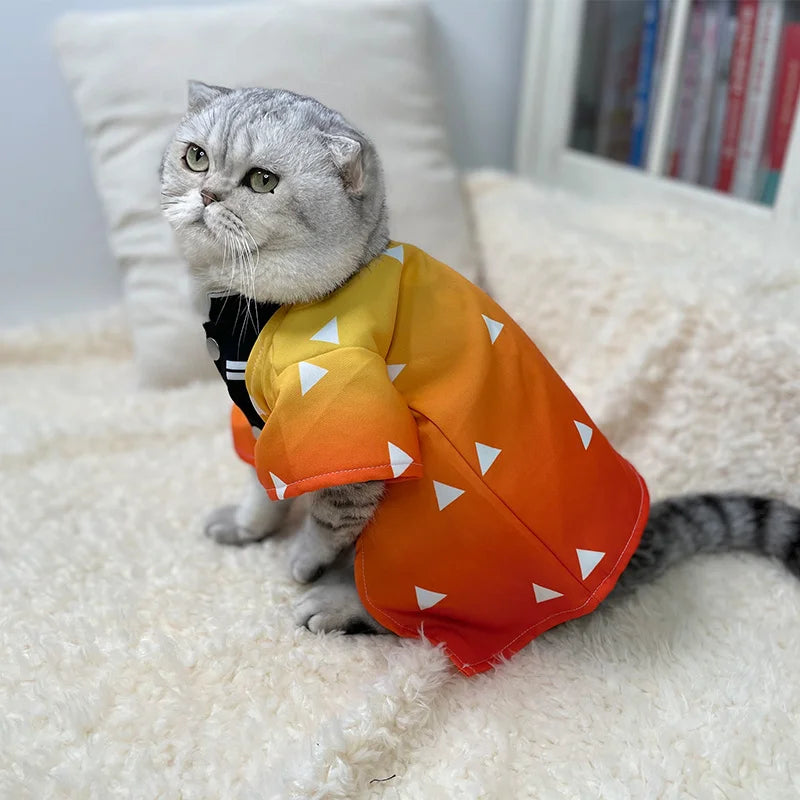 Cat wearing a Zenitsu pet cosplay costume with orange and yellow gradient design and triangle pattern