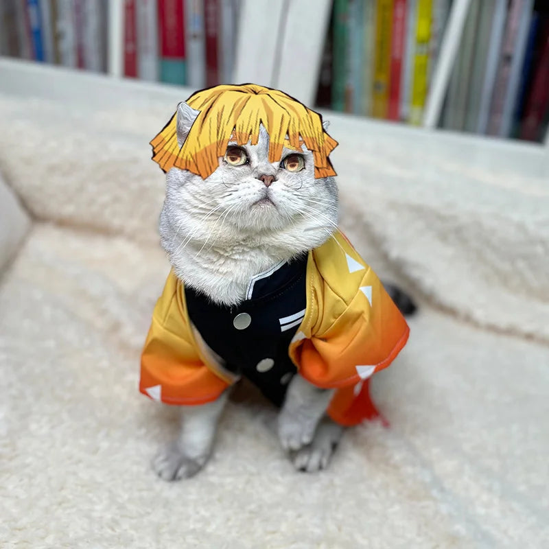Cat wearing Zenitsu pet cosplay costume with a character wig and orange jacket